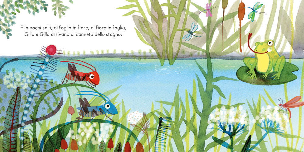 Un tuffo nello stagno