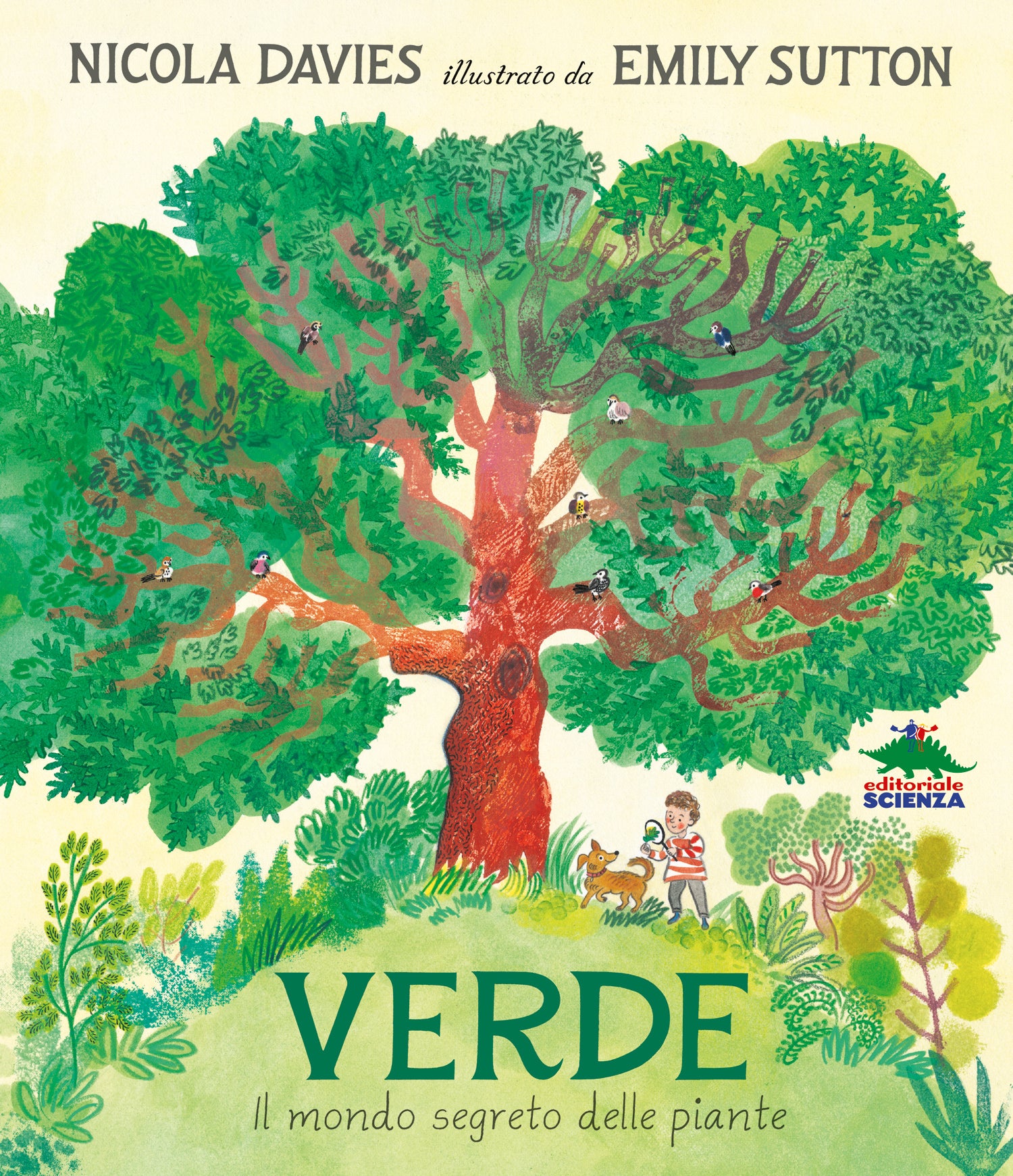 Verde. Il mondo segreto delle piante