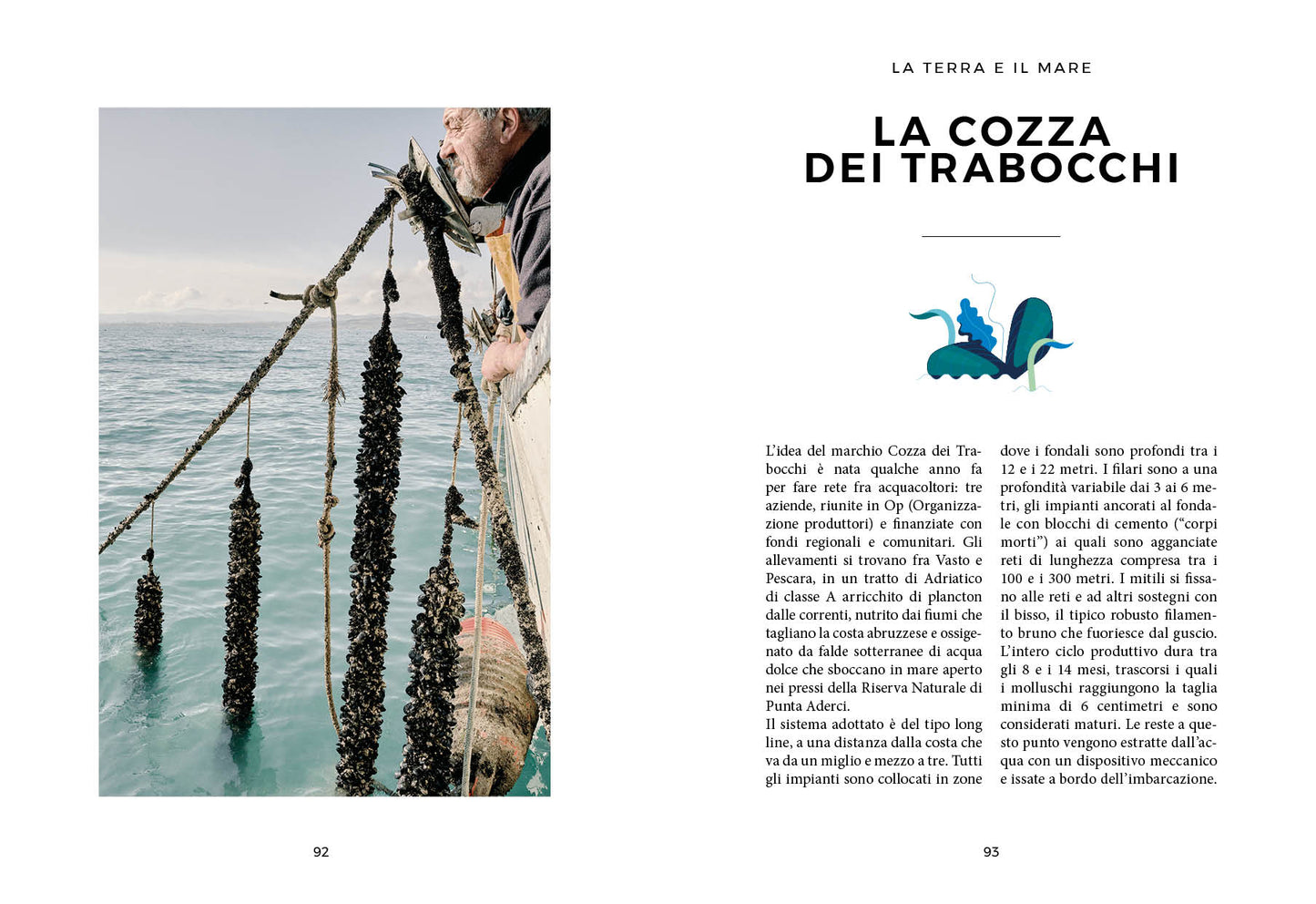 Costa dei Trabocchi. Il mare d'Abruzzo