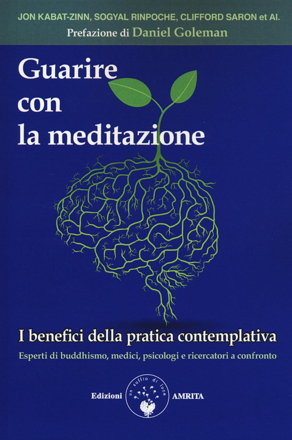 Guarire con la meditazione. I benefici della pratica contemplativa. Esperti di buddhismo, medici e psicologi a confronto.