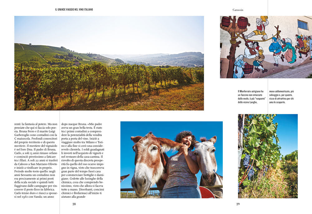 Il grande viaggio nel vino italiano. Racconti di vita, vigne, vini