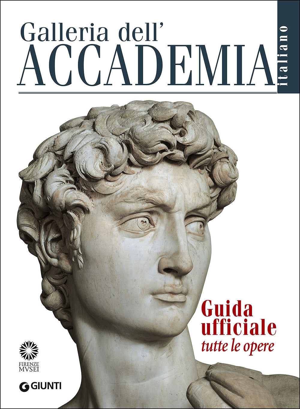 Galleria dell'Accademia. Guida ufficiale. Tutte le opere - Edizione aggiornata