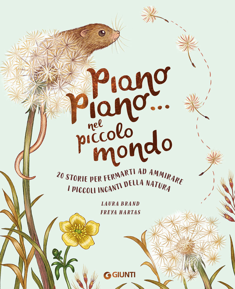 Piano piano... nel piccolo mondo. 20 Storie per fermarti ad ammirare i piccoli incanti della natura