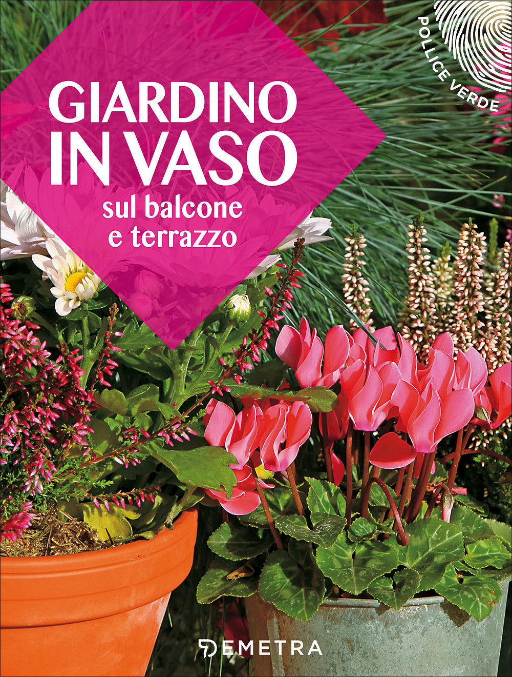 Giardino in vaso . Sul balcone e  terrazzo