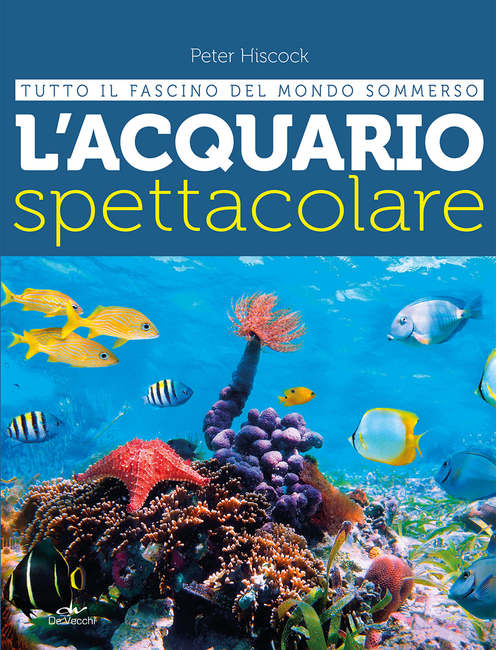L'acquario spettacolare . tutto il fascino del mondo sommerso