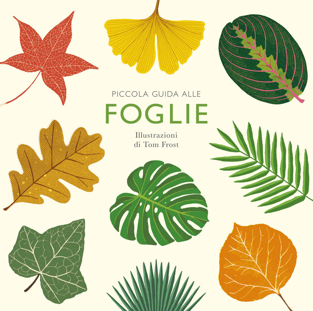 Piccola guida alle foglie. Ediz. illustrata.