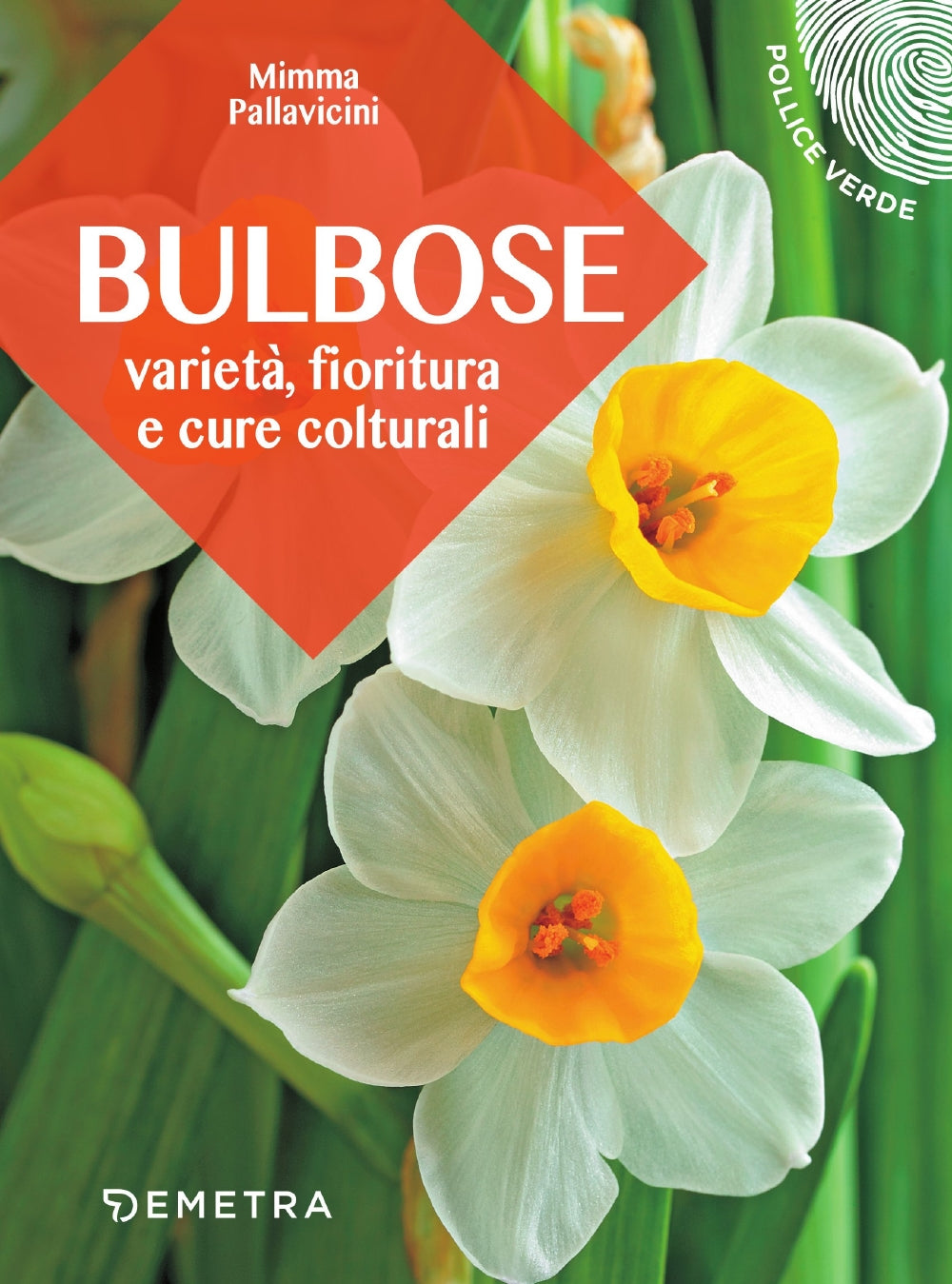 Bulbose. Varietà, fioritura e cure colturali