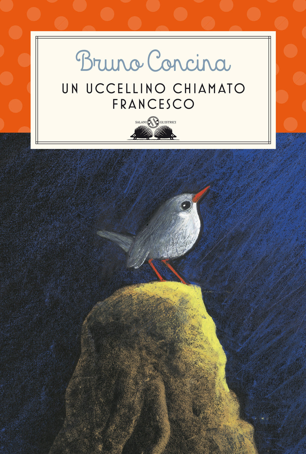 Le nuove avventure (ancora più incredibili) degli intrepidi calzini. Ediz.  illustrata - Justyna Bednarek - Libro - Salani - Illustrati