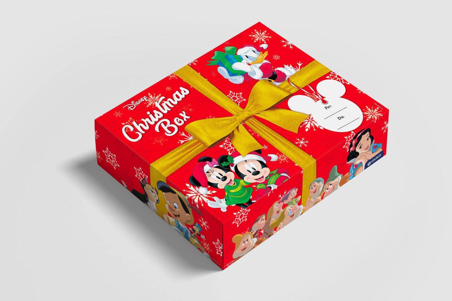 Disney Christmas Box