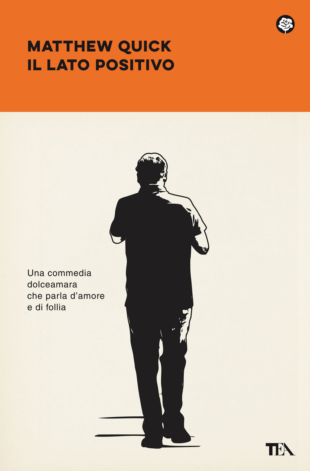 Il lato positivo. Silver linings playbook.