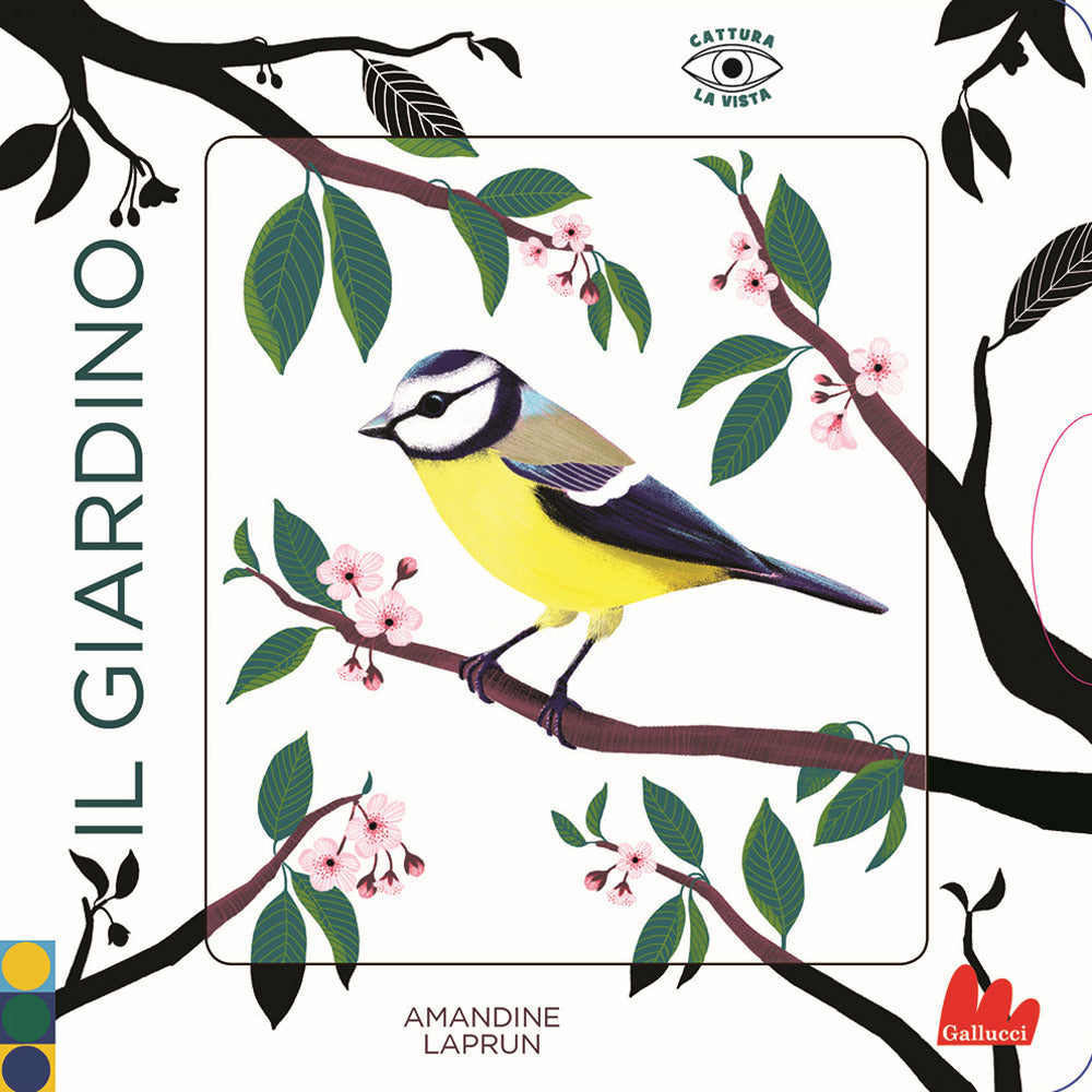 Il giardino. Cattura la vista. Ediz. a colori.