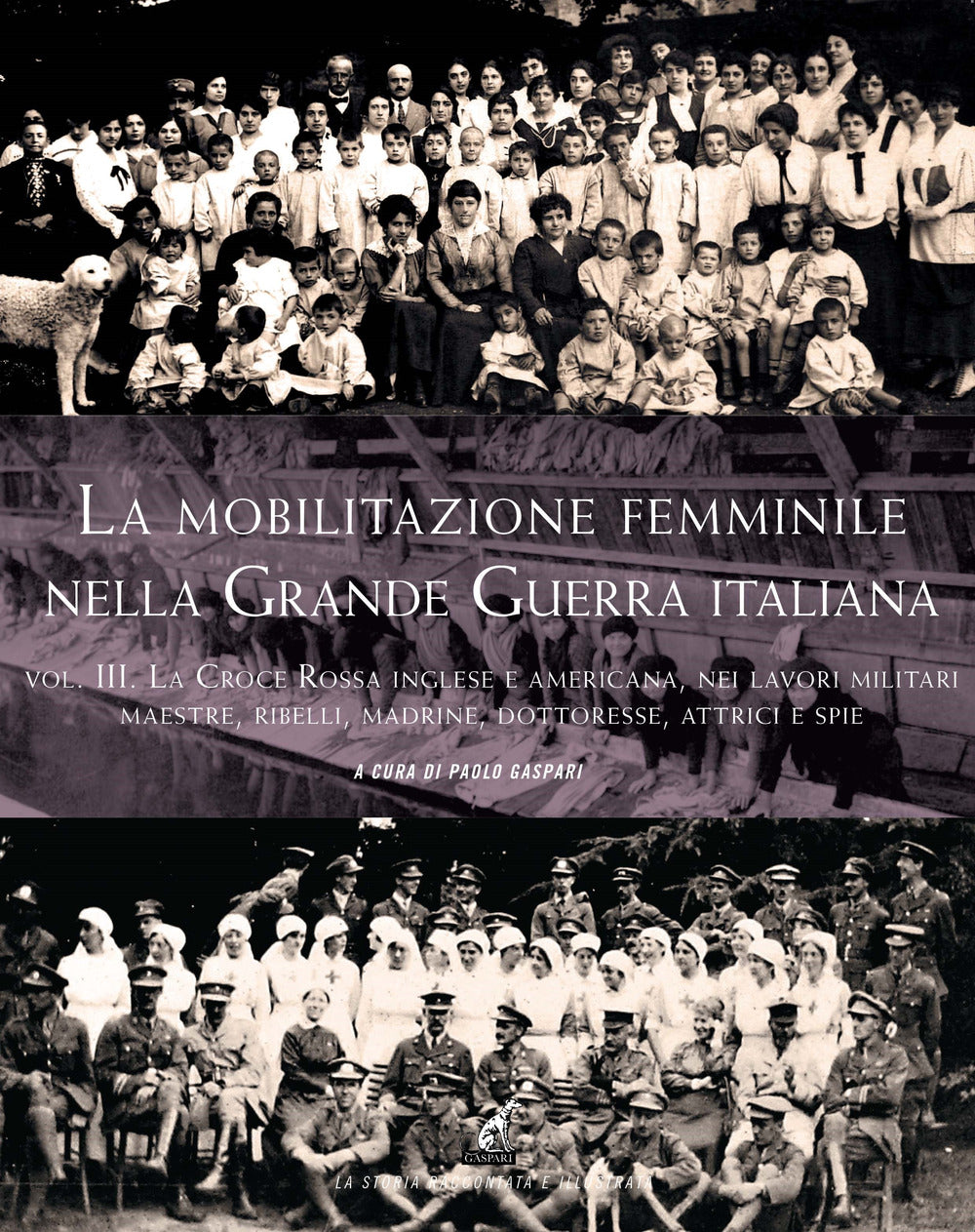 La mobilitazione femminile nella Grande Guerra. Vol. 3: Le Croce rossa inglese e americana, nei lavori militari. Maestre, ribelli, madrine, dottoresse, attrici e spie.