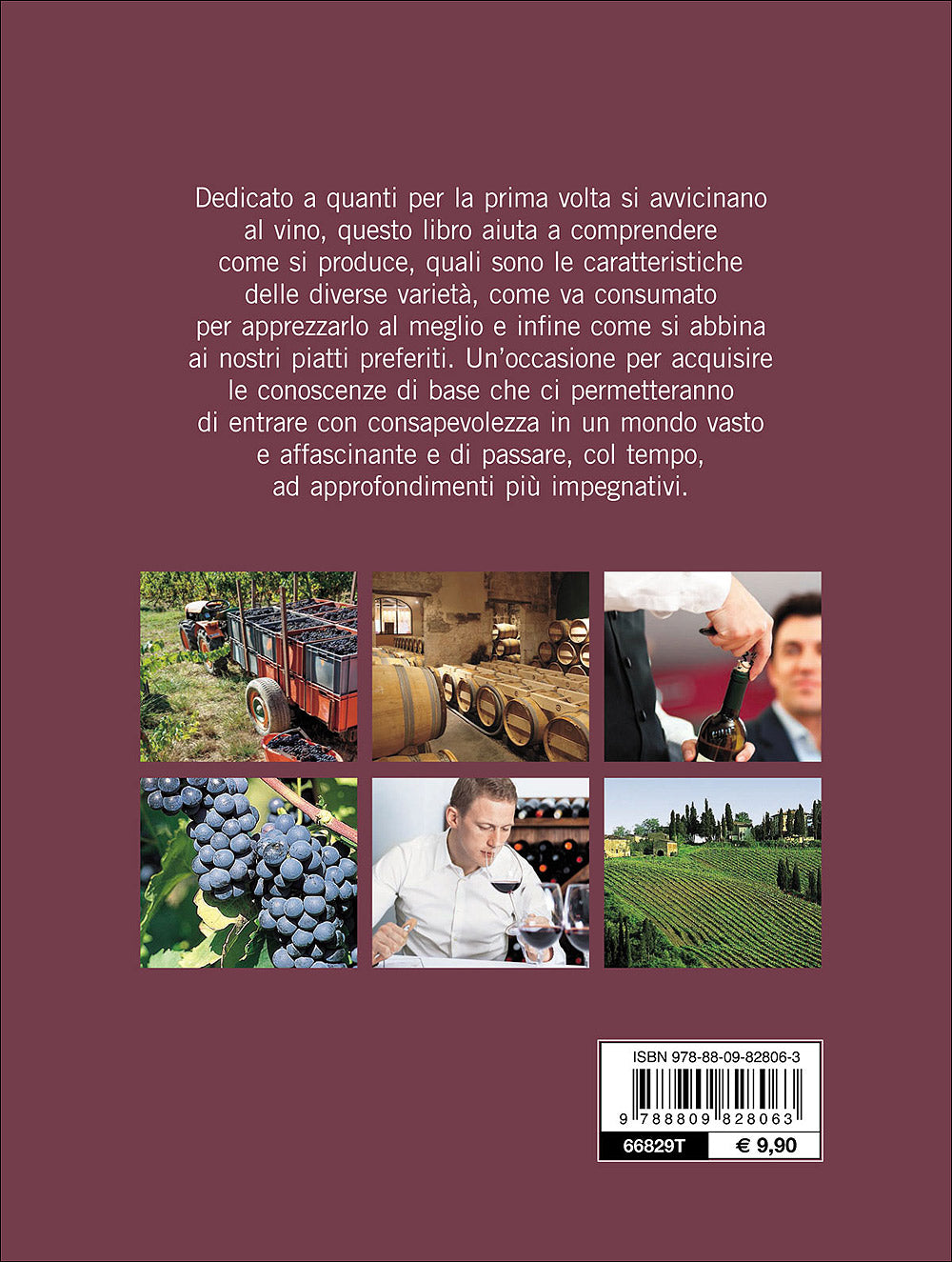 Passione vino. Sceglierlo - Servirlo - Degustarlo