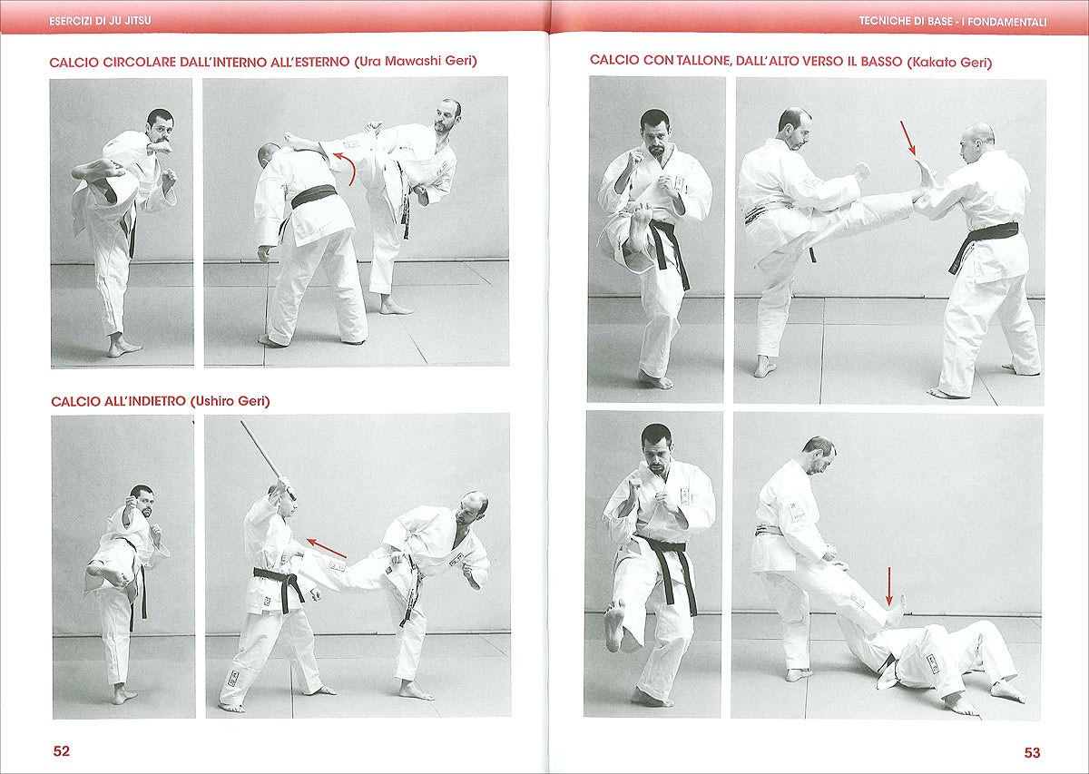 Esercizi di Ju Jitsu. Le tecniche - La preparazione - L'allenamento