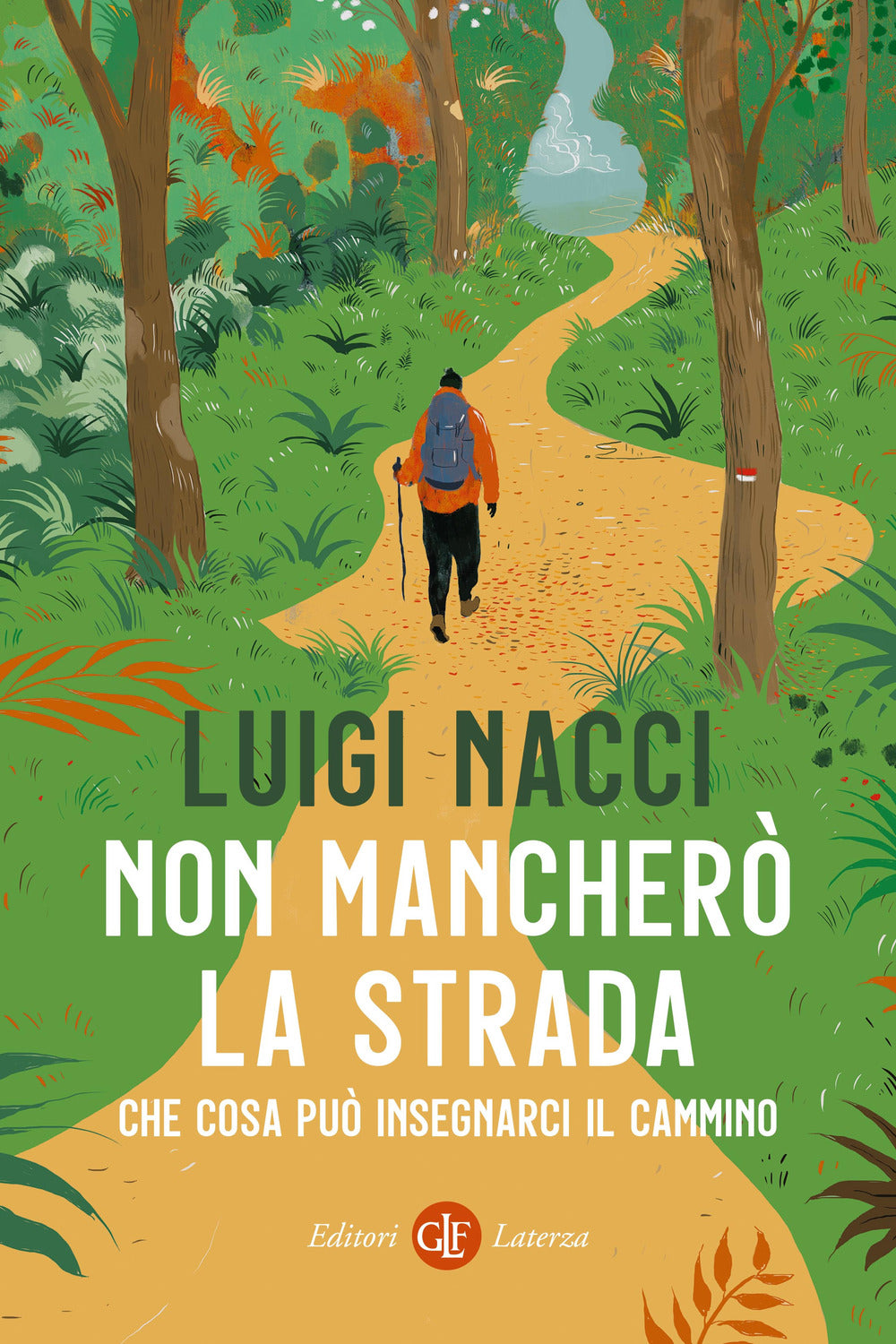 Non mancherò la strada. Che cosa può insegnarci il cammino.