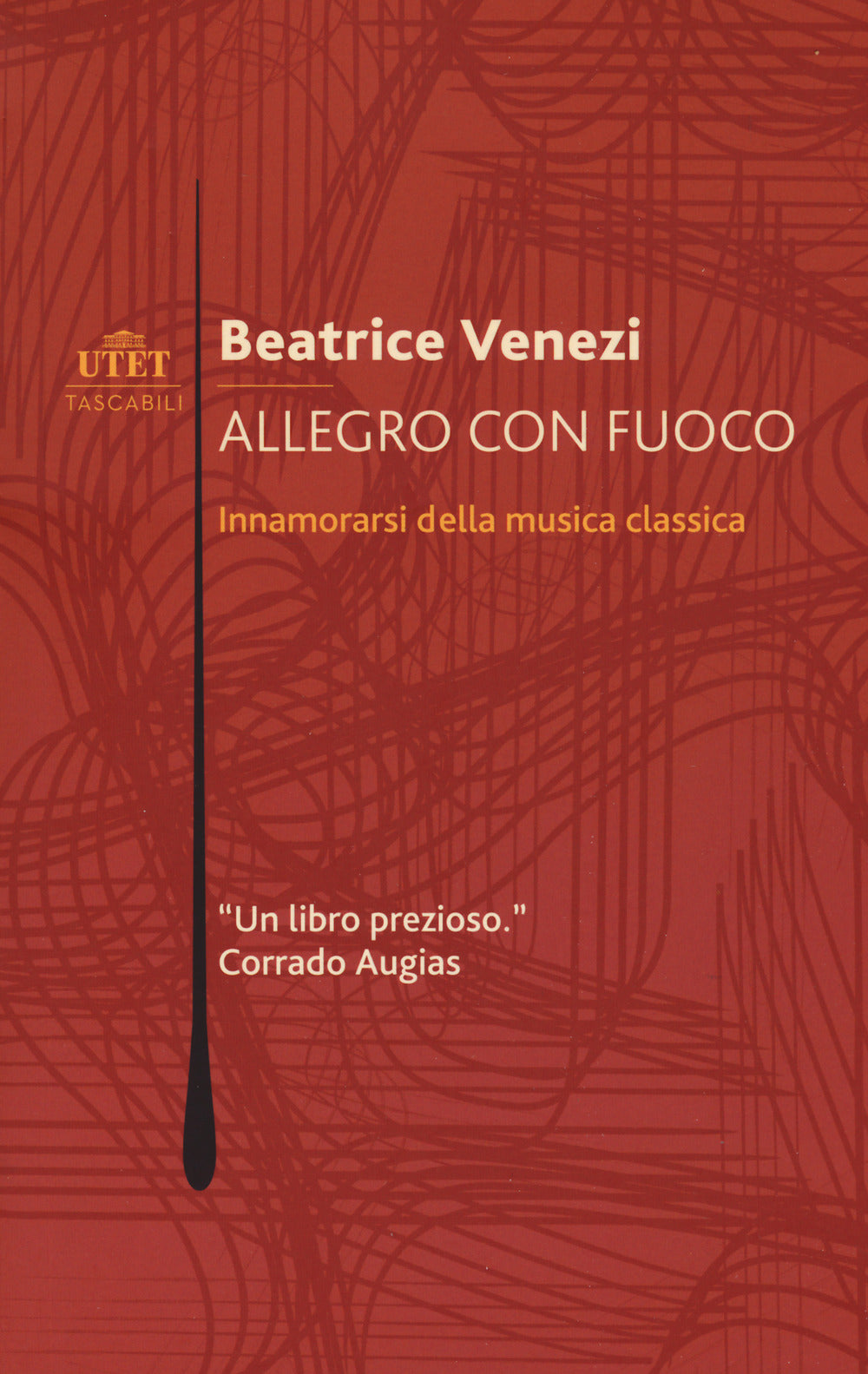 Allegro con fuoco. Innamorarsi della musica classica.