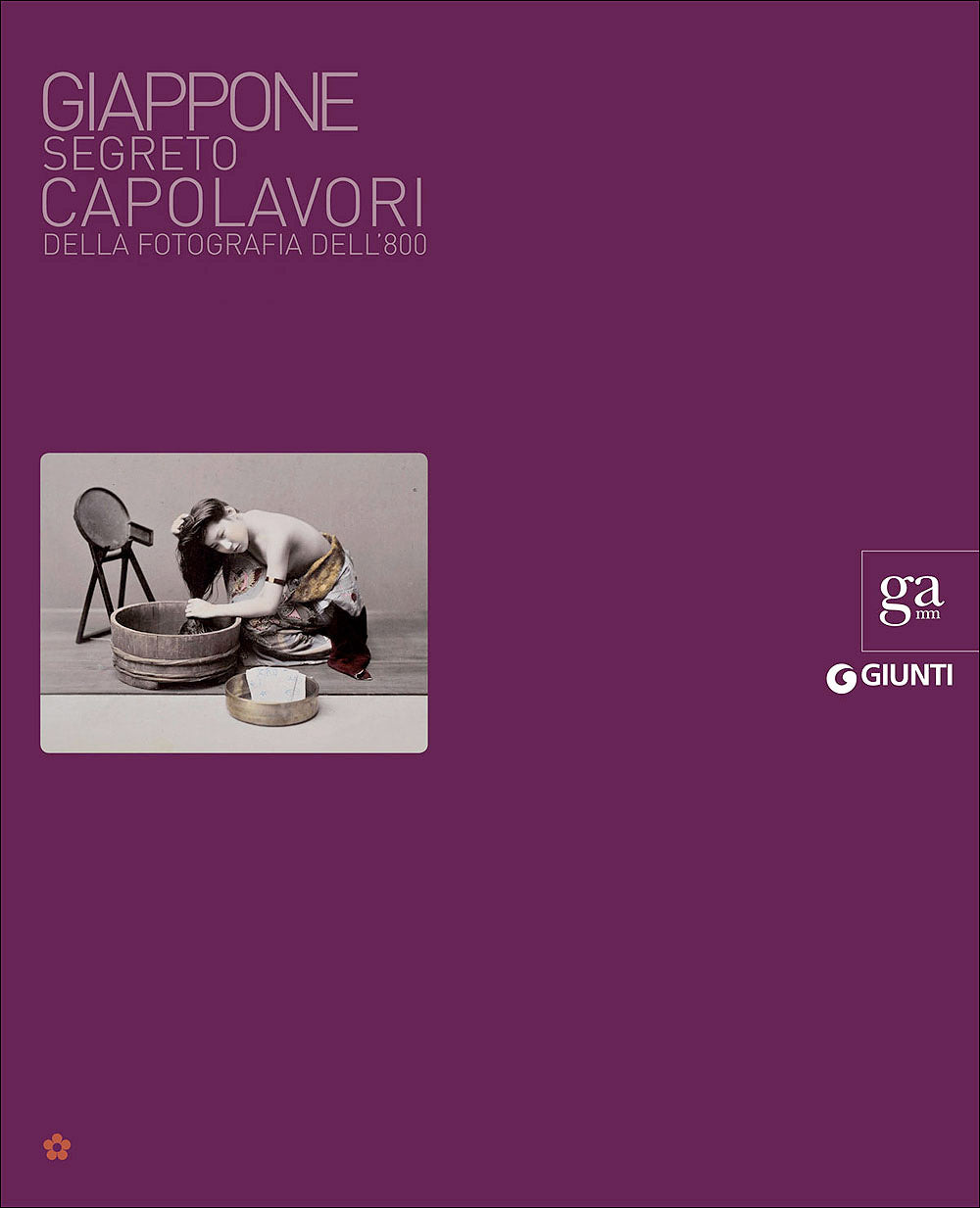 Giappone segreto. Capolavori della fotografia dell'800