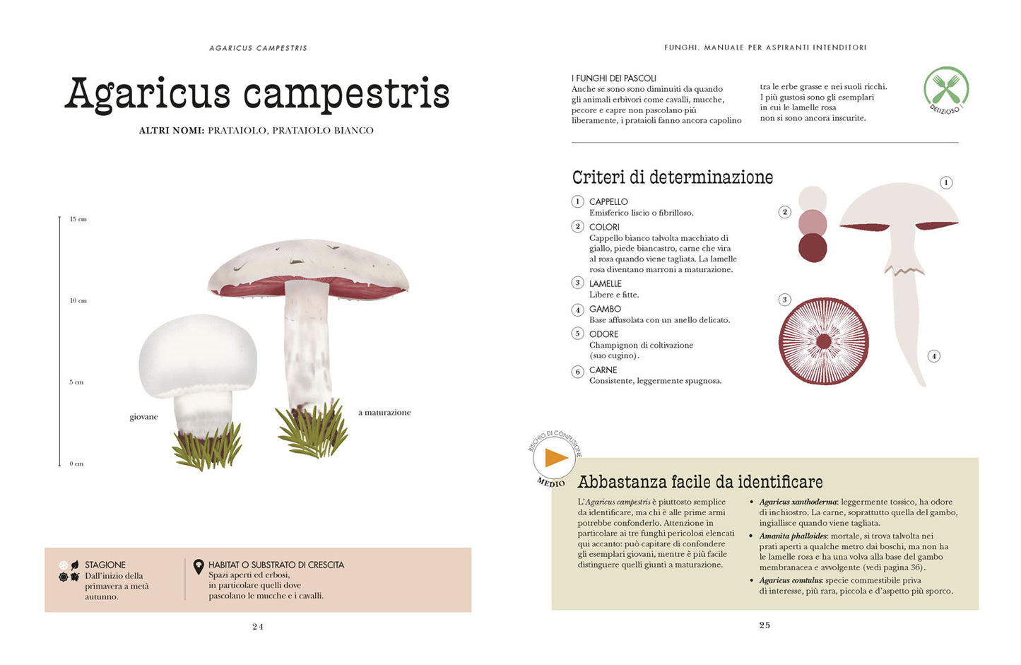 Funghi. Manuale per aspiranti intenditori