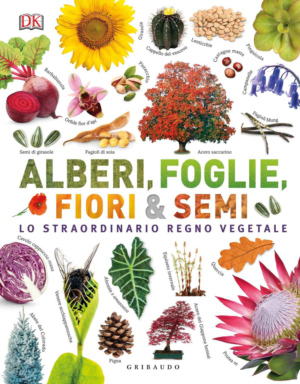 Alberi, foglie, fiori & semi. Lo straordinario regno vegetale. Ediz. illustrata