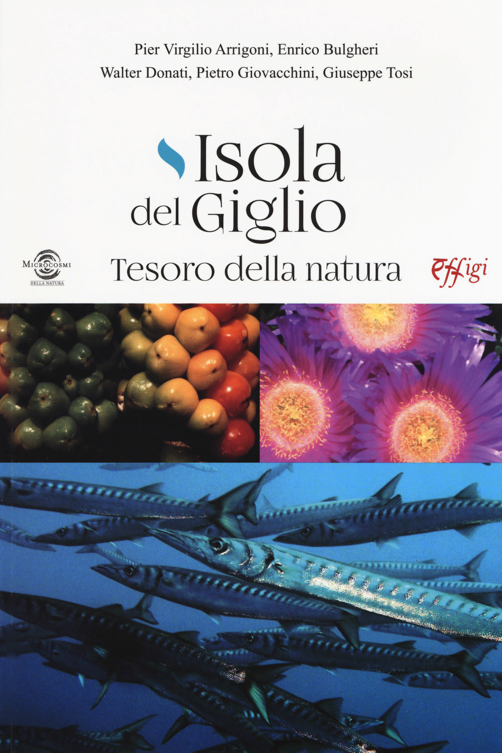 Isola del Giglio. Tesoro della natura.