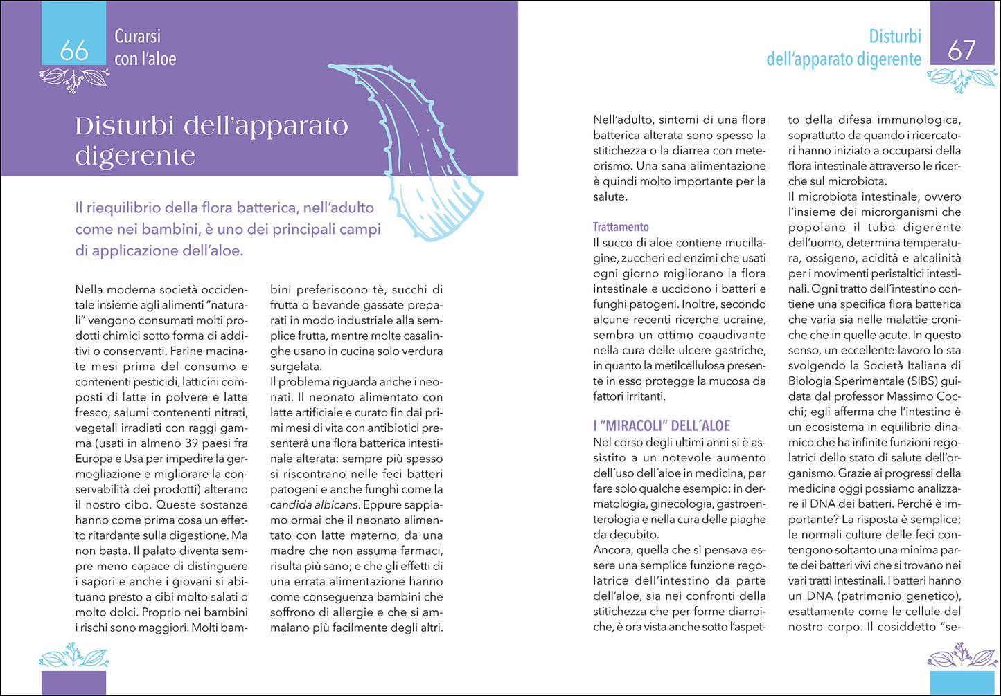 Aloe. La pianta che cura: virtù, proprietà e applicazioni terapeutiche