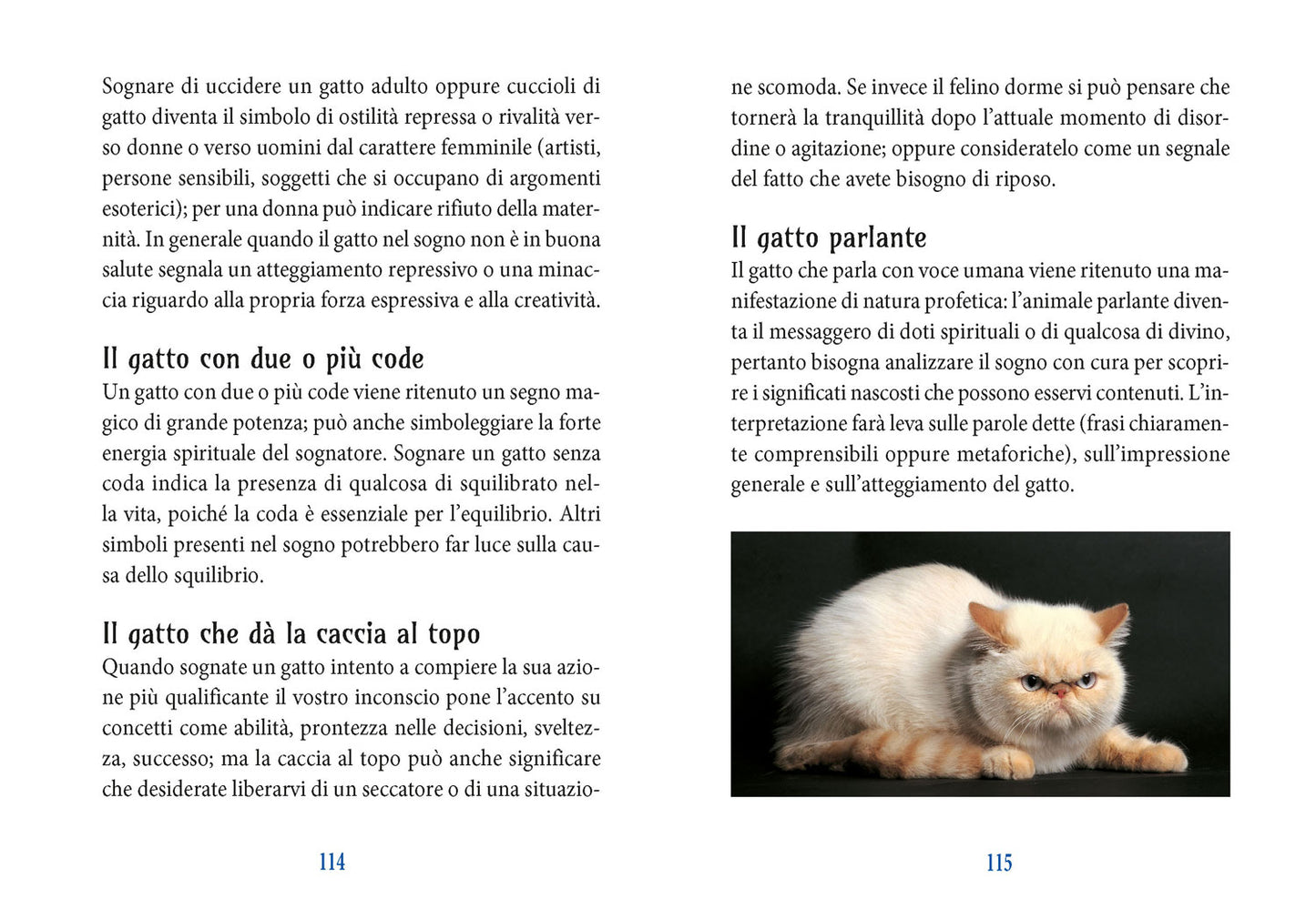 I poteri magici del gatto. Storia- Leggende - Tradizioni