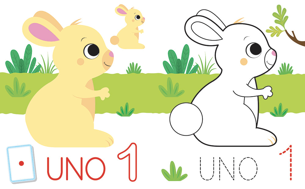 Attaca colora impara i numeri