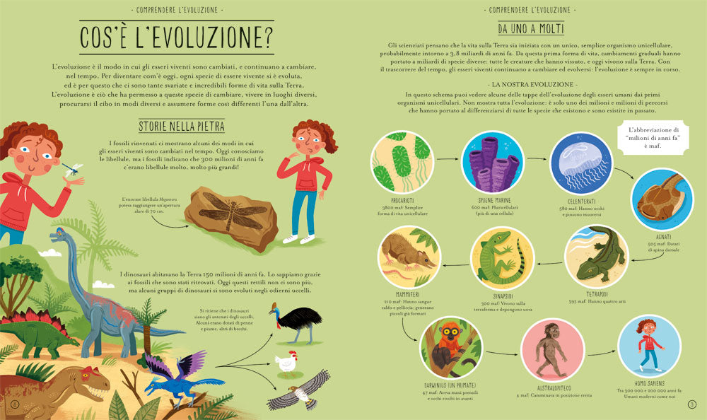 Meravigliosa evoluzione. Il viaggio della vita