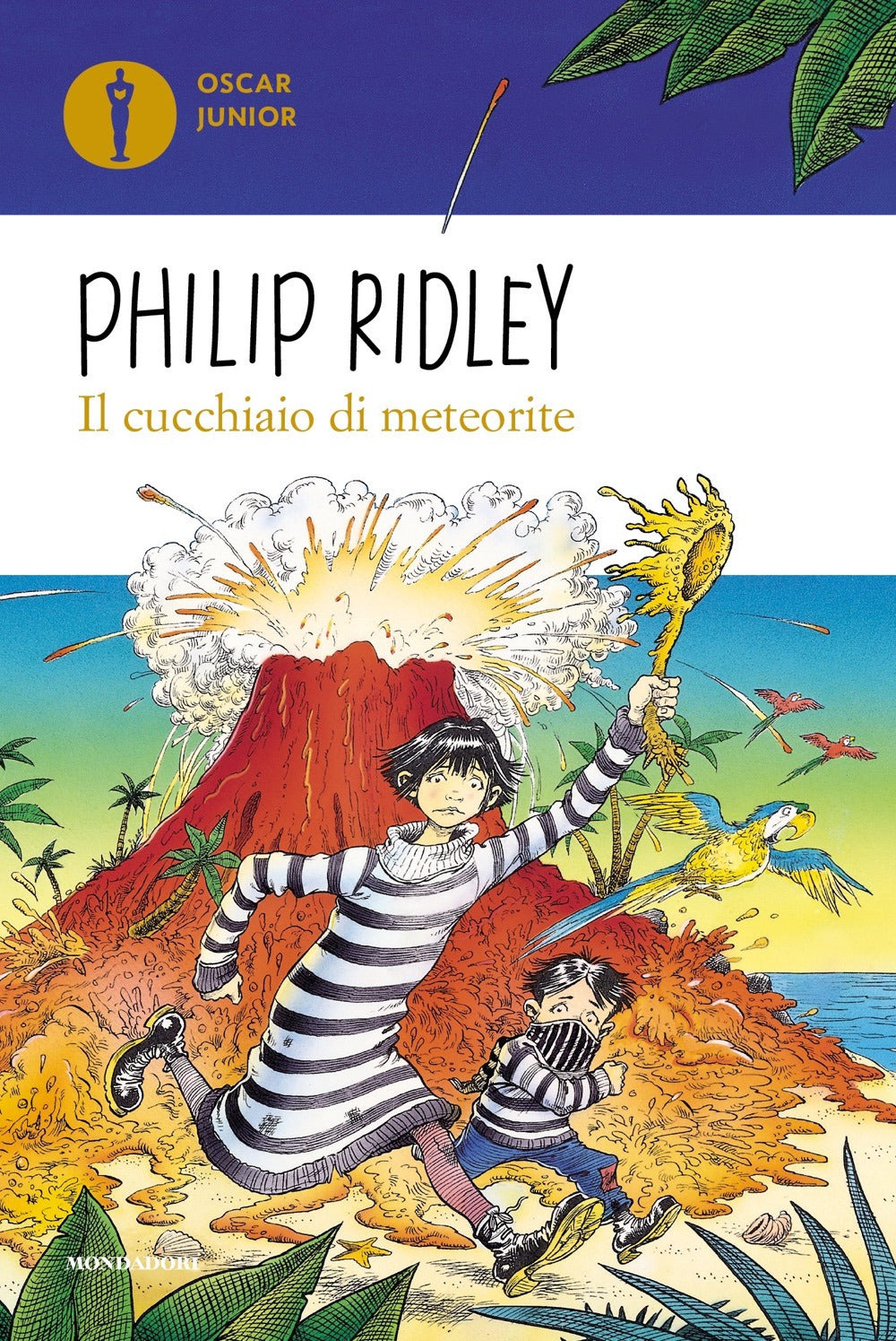 Il cucchiaio di meteorite.