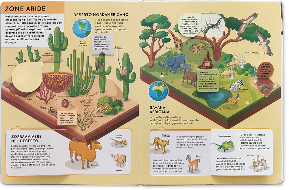 Alza e scopri – Animali
