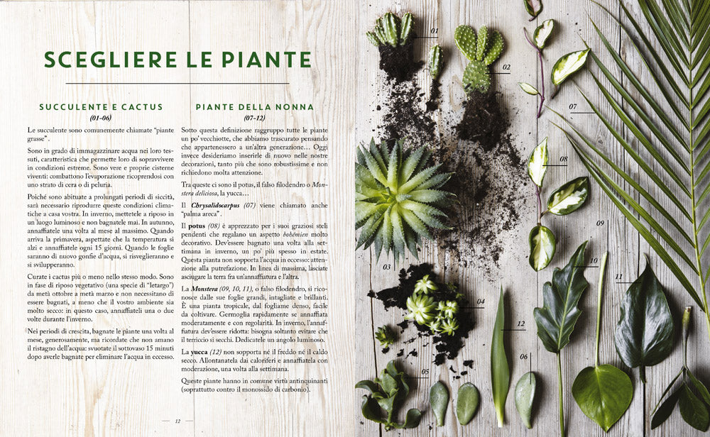 Home Jungle. Decorare e arredare la casa con le piante