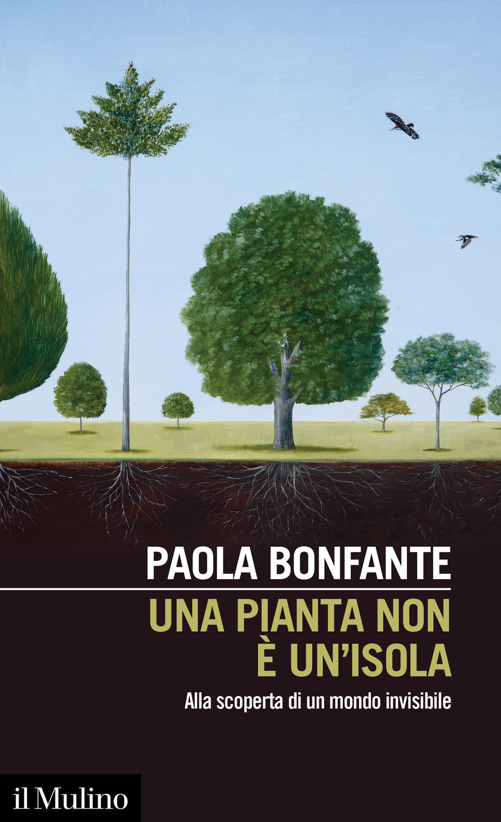 Una pianta non è un'isola. Alla scoperta di un mondo invisibile.