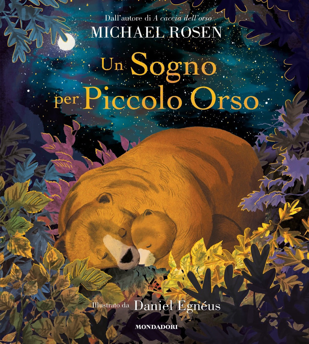 Un sogno per Piccolo Orso. Ediz. a colori