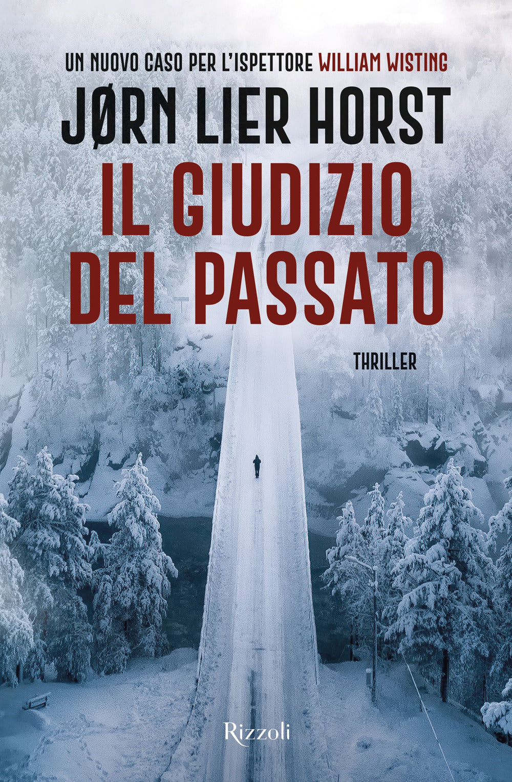 Il giudizio del passato. Un nuovo caso per l'ispettore William Wisting