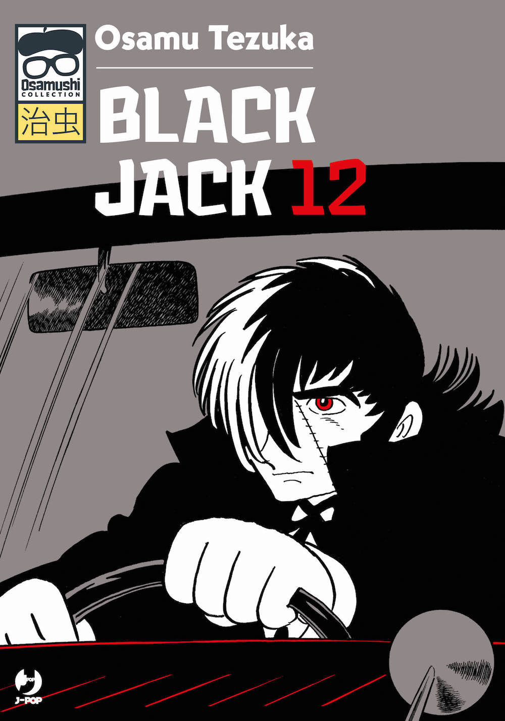 Black Jack. Vol. 12.