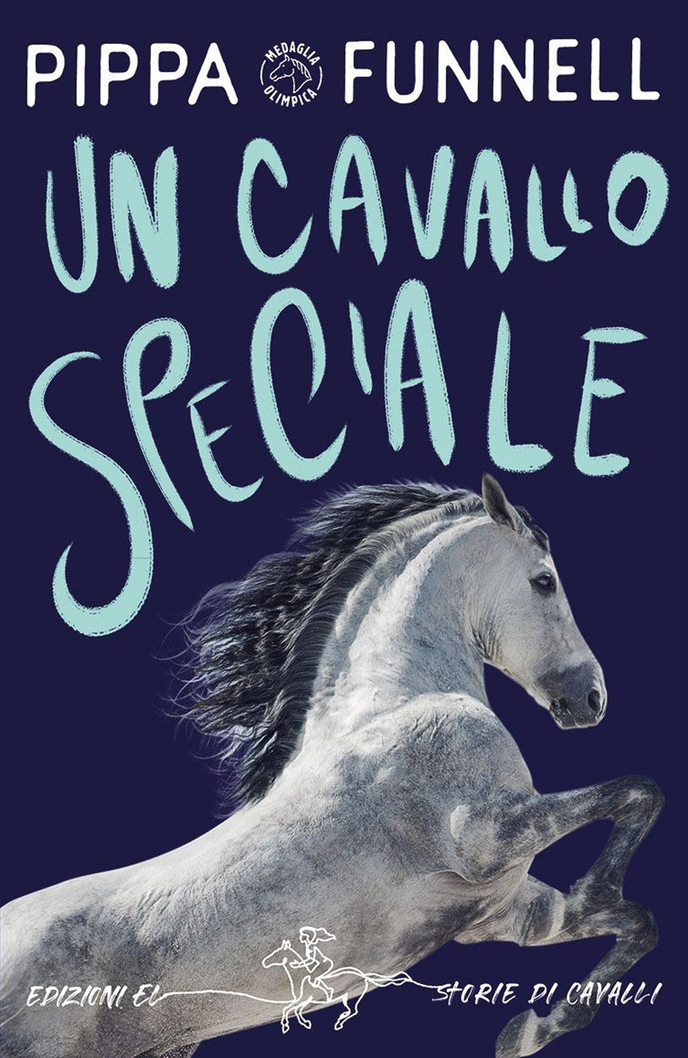 Un cavallo speciale. Storie di cavalli. Ediz. illustrata