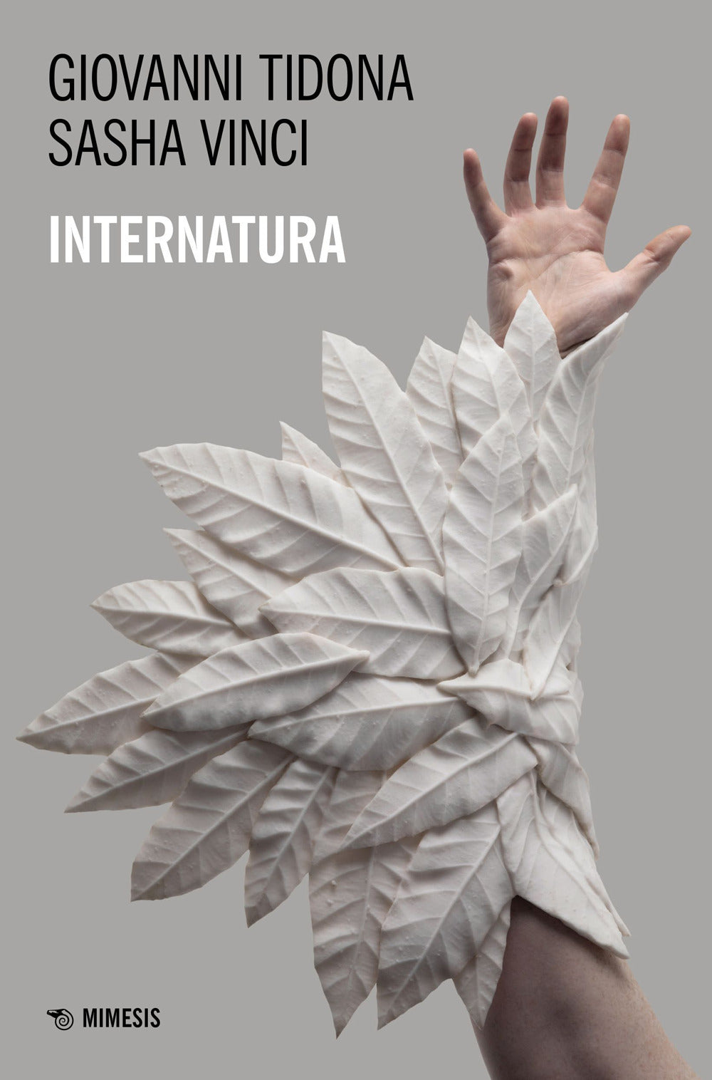 Internatura