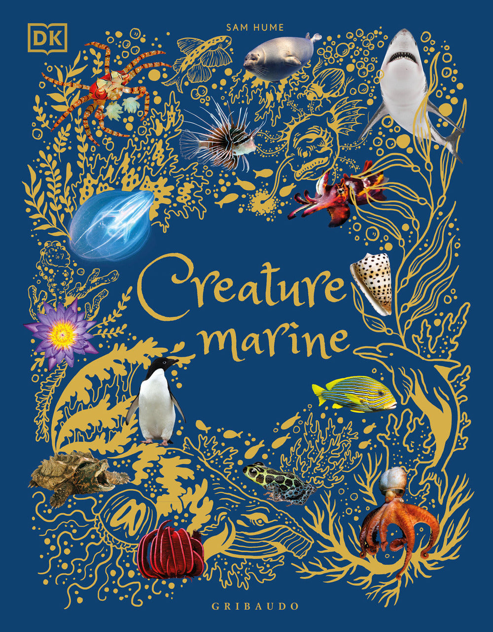 Creature marine. Ediz. illustrata