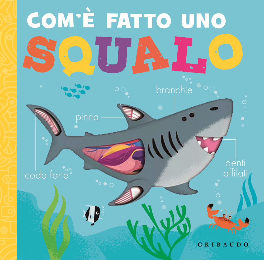 Com'è fatto uno squalo. Ediz. a colori