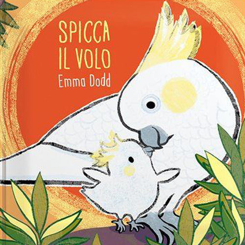 Spicca il volo. Ediz. a colori