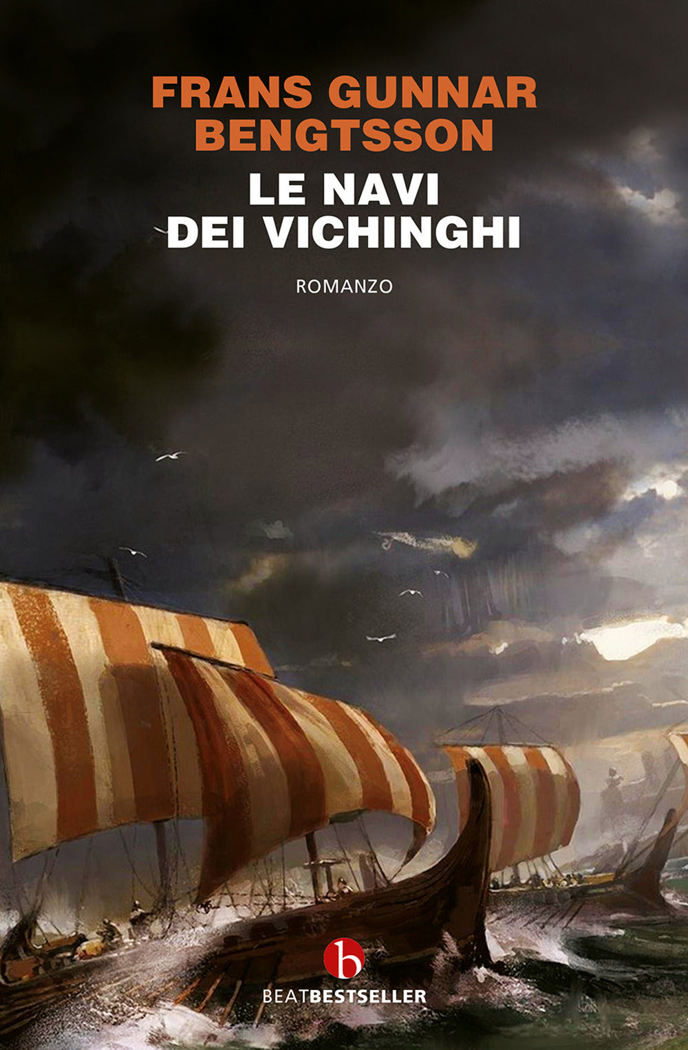 Le navi dei vichinghi.