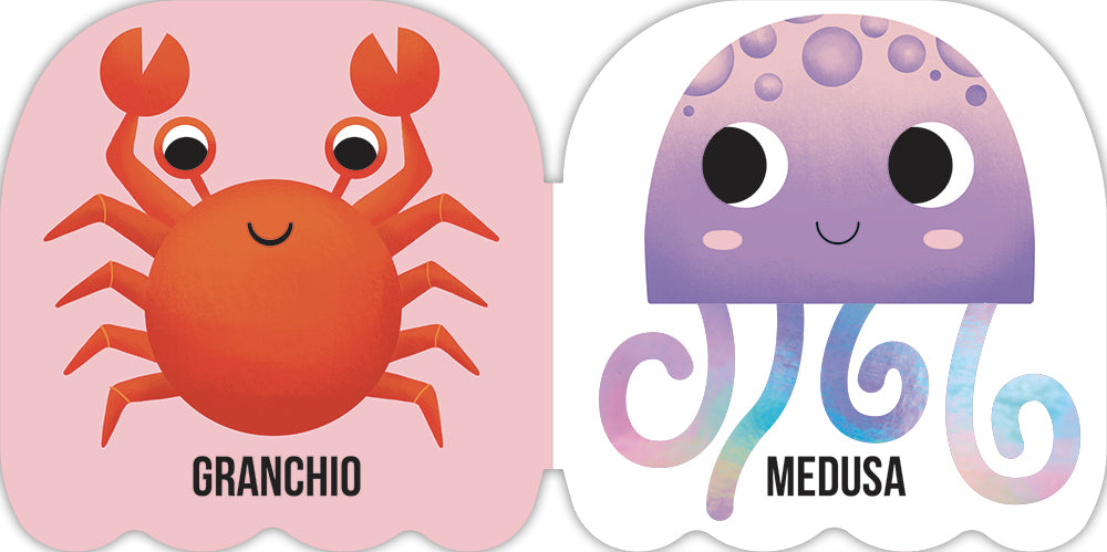 Gli animali del mare