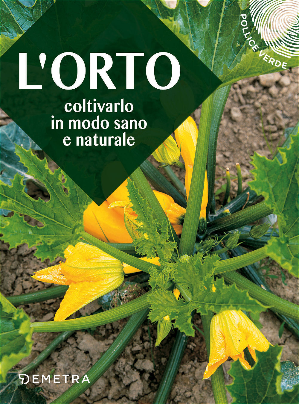 L'orto. Coltivarlo in modo sano e naturale