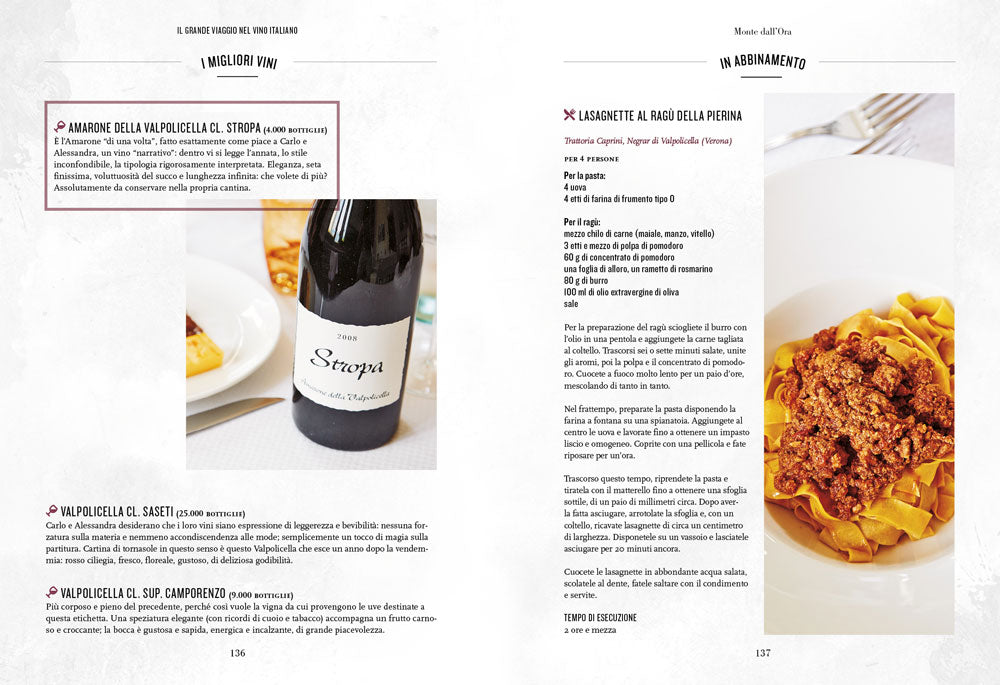 Il grande viaggio nel vino italiano. Racconti di vita, vigne, vini