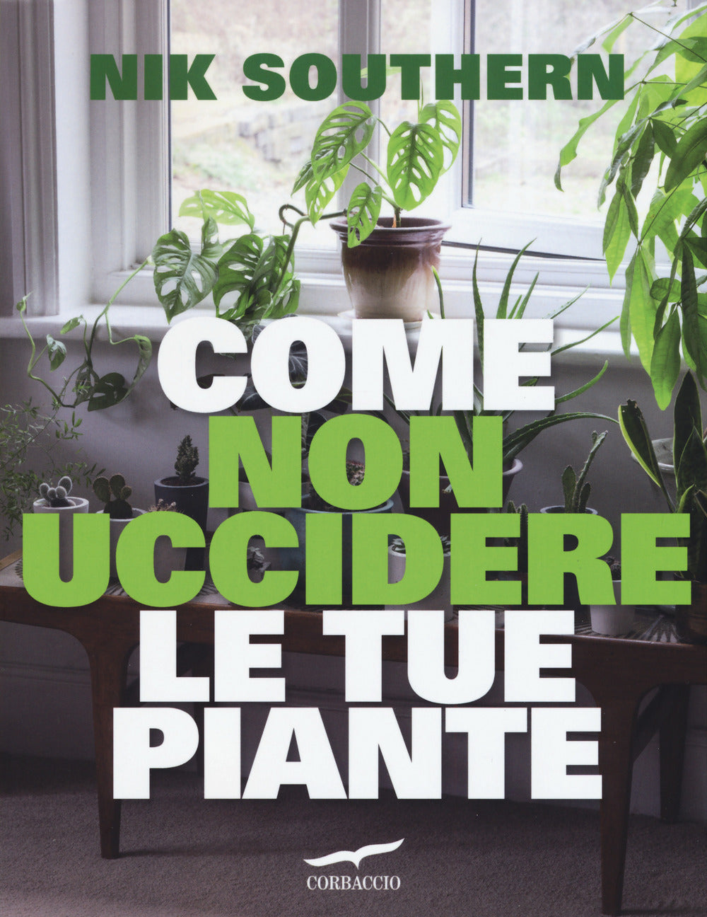 Come non uccidere le tue piante