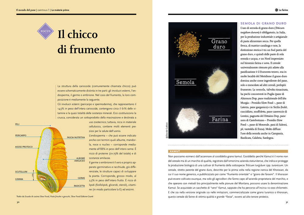 Il mondo del pane. Il libro per conoscerlo, sceglierlo, farlo in casa