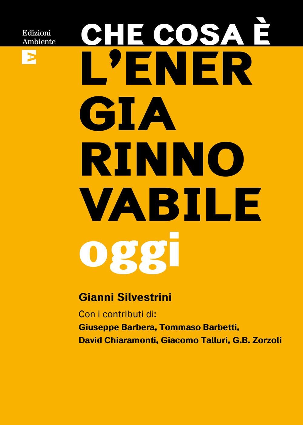 Che cosa è l'energia rinnovabile oggi.