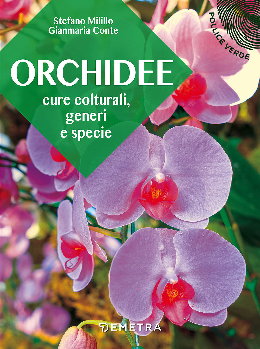 Orchidee. Cure colturali, generi e specie