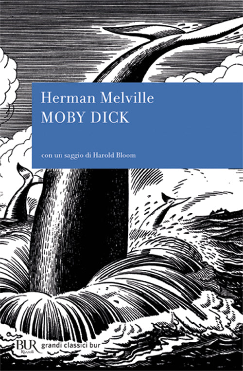 Moby Dick.