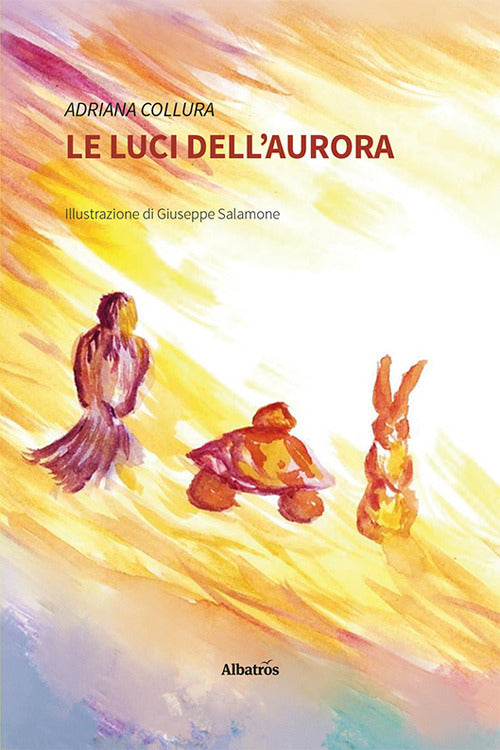 Le luci dell'aurora.